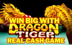 dragon tiger real cash game