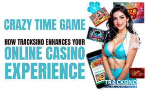 crazy time game